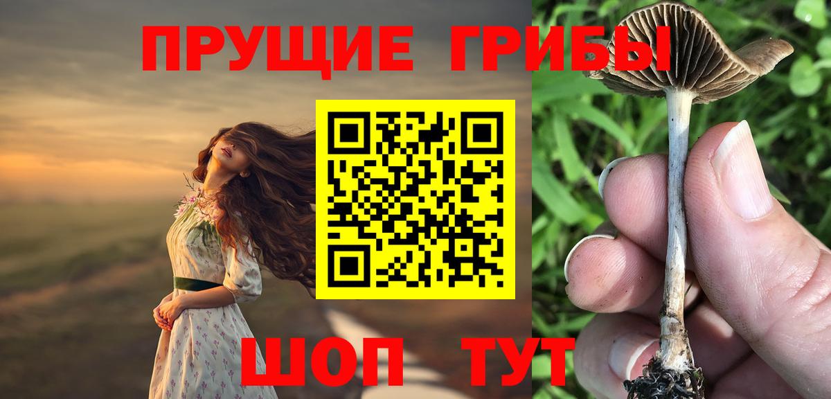 купить   Вход с VPN  Псилоцибиновые грибы мухоморы  Новокуйбышевск  Галлюциногенные грибы Cubensis 