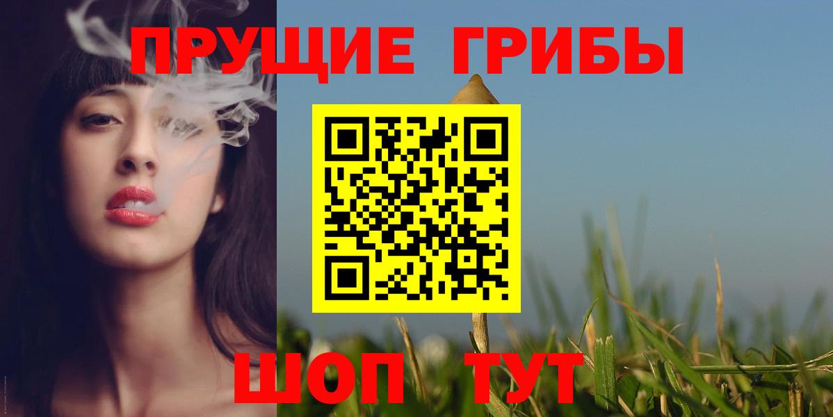 Псилоцибиновые грибы мицелий Новокуйбышевск